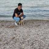 Eusuntred1 from Seriate | Man | 27 years old | Scorpio
