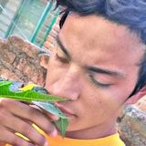 Gollo from Zapopan | Man | 28 years old | Pisces
