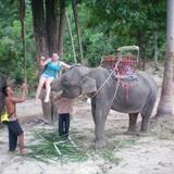 Annabelle from Davidson | Woman | 25 years old | Virgo