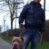 Bessende from Eindhoven | Man | 40 years old | Capricorn