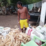 Yariletgomez8M from Veracruz | Man | 26 years old | Leo