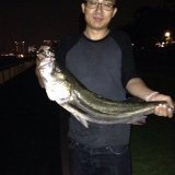 Masato from Kawaguchi | Man | 45 years old | Virgo