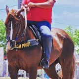 Maxforroseing from Alexandria | Man | 33 years old | Capricorn