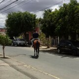Kaiquericardaw from Limoeiro | Man | 22 years old | Sagittarius