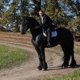 Paunaurelian5U from Brasov | Man | 40 years old | Cancer