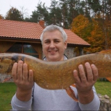 Steve from Los Alamos | Man | 56 years old | Aries