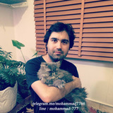 Mohammad from Pars | Man | 40 years old | Aries