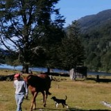 Bahamondemarsl from Puerto Varas | Man | 27 years old | Taurus