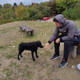 Tunjol4 from Tuzla | Man | 28 years old | Aquarius